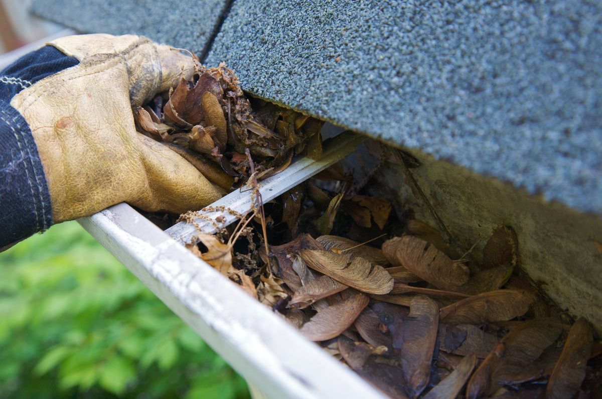 Expert Gutter Cleaning services in AUstin Texas by Power Wash Deluxe